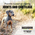 Nutramax Dasuquin MSM Joint Supplement, Sm/Med Dogs, Chew Tablets, 84ct