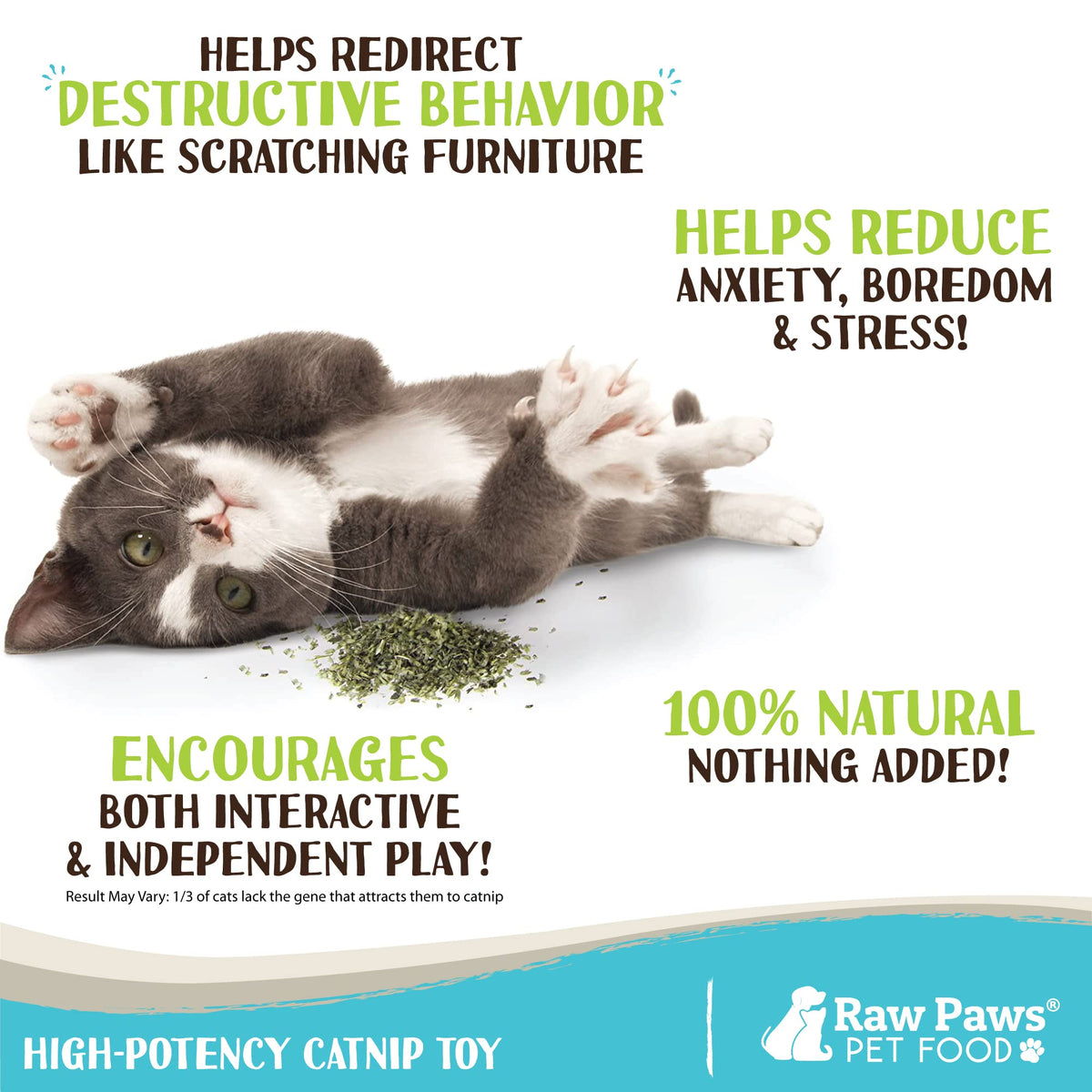 Raw Paws Dried Fresh Catnip for Cats, 1-oz (2 Cups)