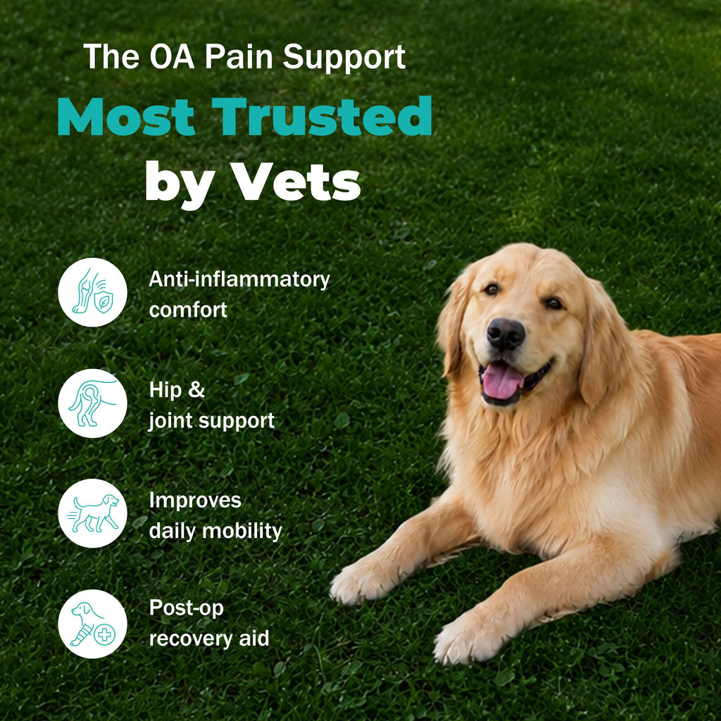 Dog Pain Relief Anti-Inflammatory, Joint Supplement for Dogs, Anti-Inflammatory Pain Support for Joint Stiffness & Soreness, Supports Mobility & Comfort, 60 Tablets
