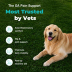 Dog Pain Relief Anti-Inflammatory, Joint Supplement for Dogs, Anti-Inflammatory Pain Support for Joint Stiffness & Soreness, Supports Mobility & Comfort, 60 Tablets