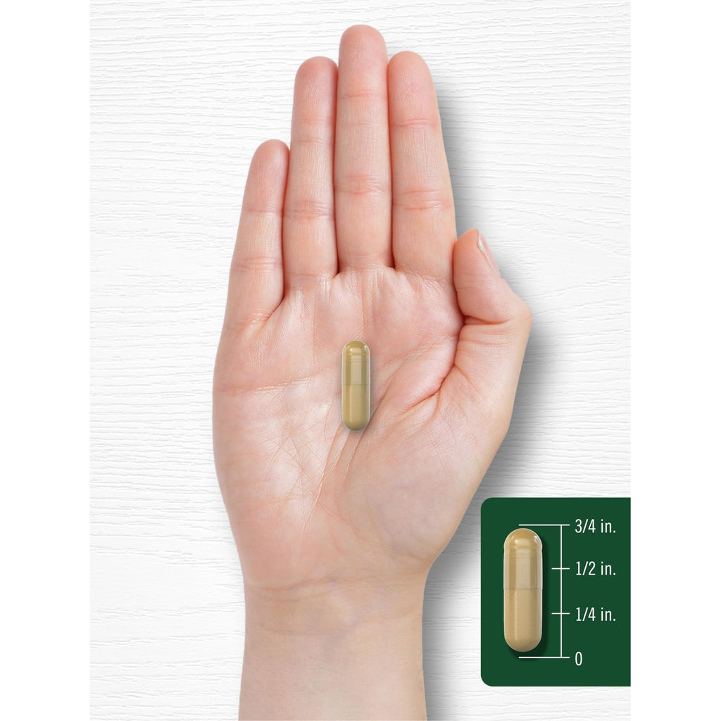 Carlyle Fenugreek Capsules | 300 Count | Non-GMO & Gluten Free Extract