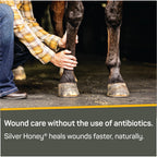 Absorbine Silver Honey Rapid Wound Repair Ointment 2oz Tube, Manuka Honey + MicroSilver BG, Horse & Large Animal Wound Care