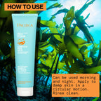 Buy now Pacifica Beauty Sea Foam Face Wash, Daily Gentle Foaming Cleanser, With Coconut Water + Sea Algae, Removes Makeup, For Combination and Oily Skin, Vegan & Cruelty Free at indiglob india