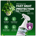 Eco Defense Plant Gnat Spray, Fungus Gnat Killer for Houseplant Soil