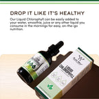 Liquid Chlorophyll Drops, Gut Health + Clear Skin, Peppermint Flavored, 2oz | Supports Digestion, Immunity, Detoxification + Clear Skin, Mulberry-Derived Chlorophyll, Mixes Clean, Nearly Tasteless, Vegan
