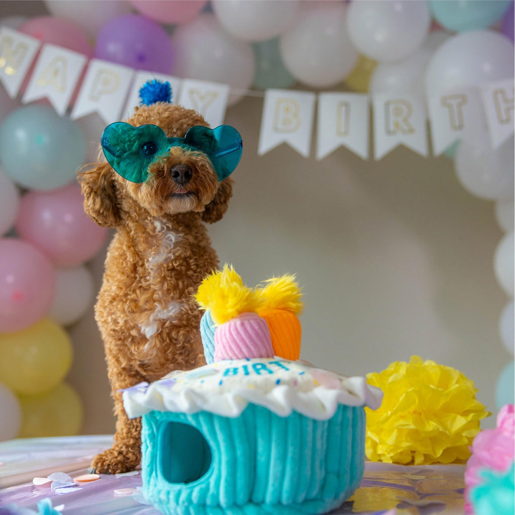Outward Hound Hide-A-Birthday-Cake Plush Squeaky Dog Toy, 7.5" x 4.7"