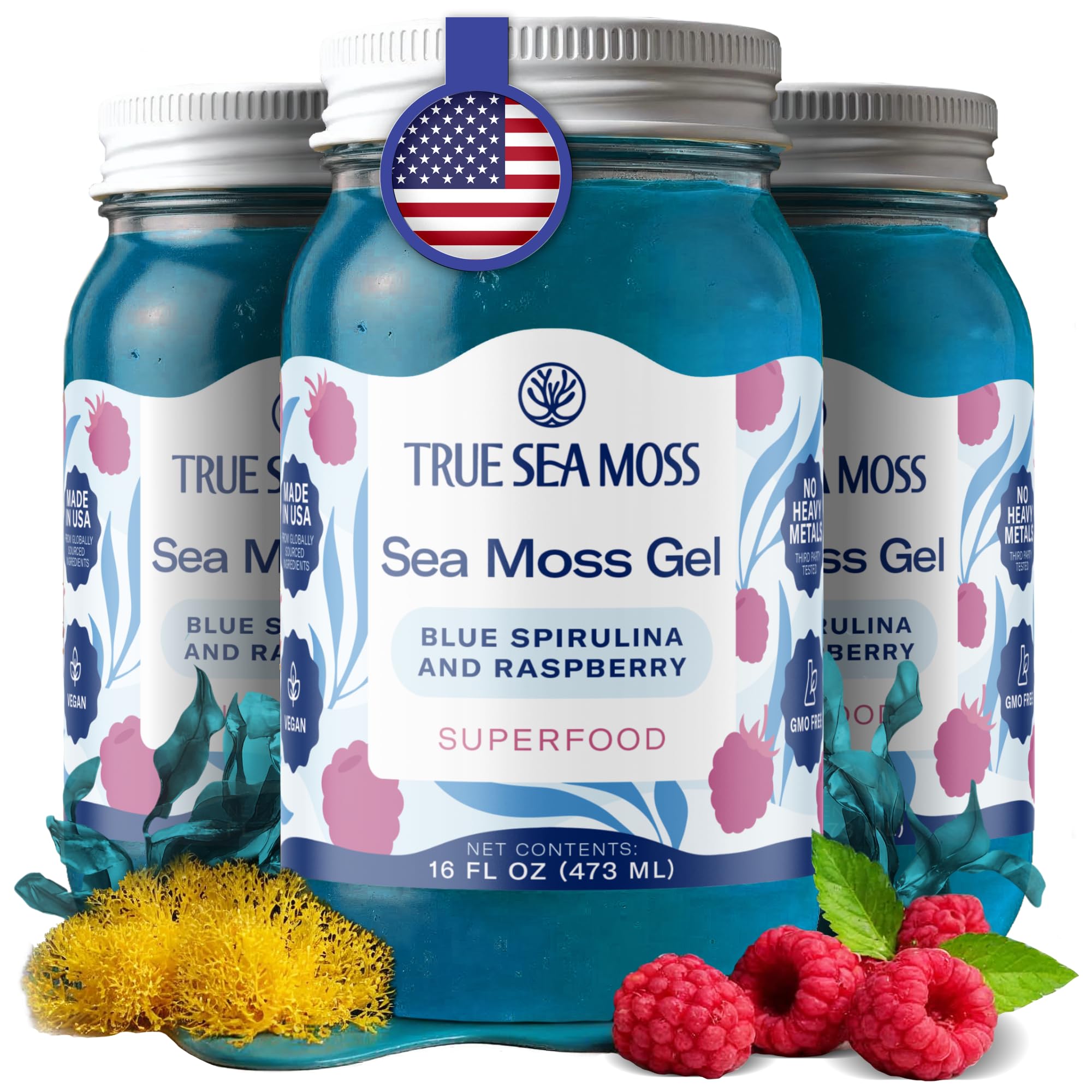 Buy now TrueSeaMoss Sea Moss Gel – Made in USA – Wildcrafted Seamoss, Fruits & Jarred Vegetables – Pineapple, Pack of 1 (Labels may Vary) Blue Spirulina 16 Fl Oz (Pack of 3) at indiglob india