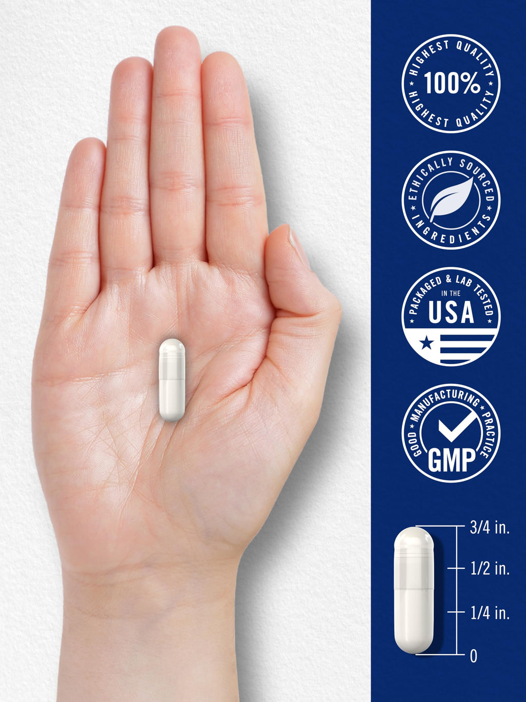 Carlyle L Methylfolate 15mg | 90 Capsules | Max Potency