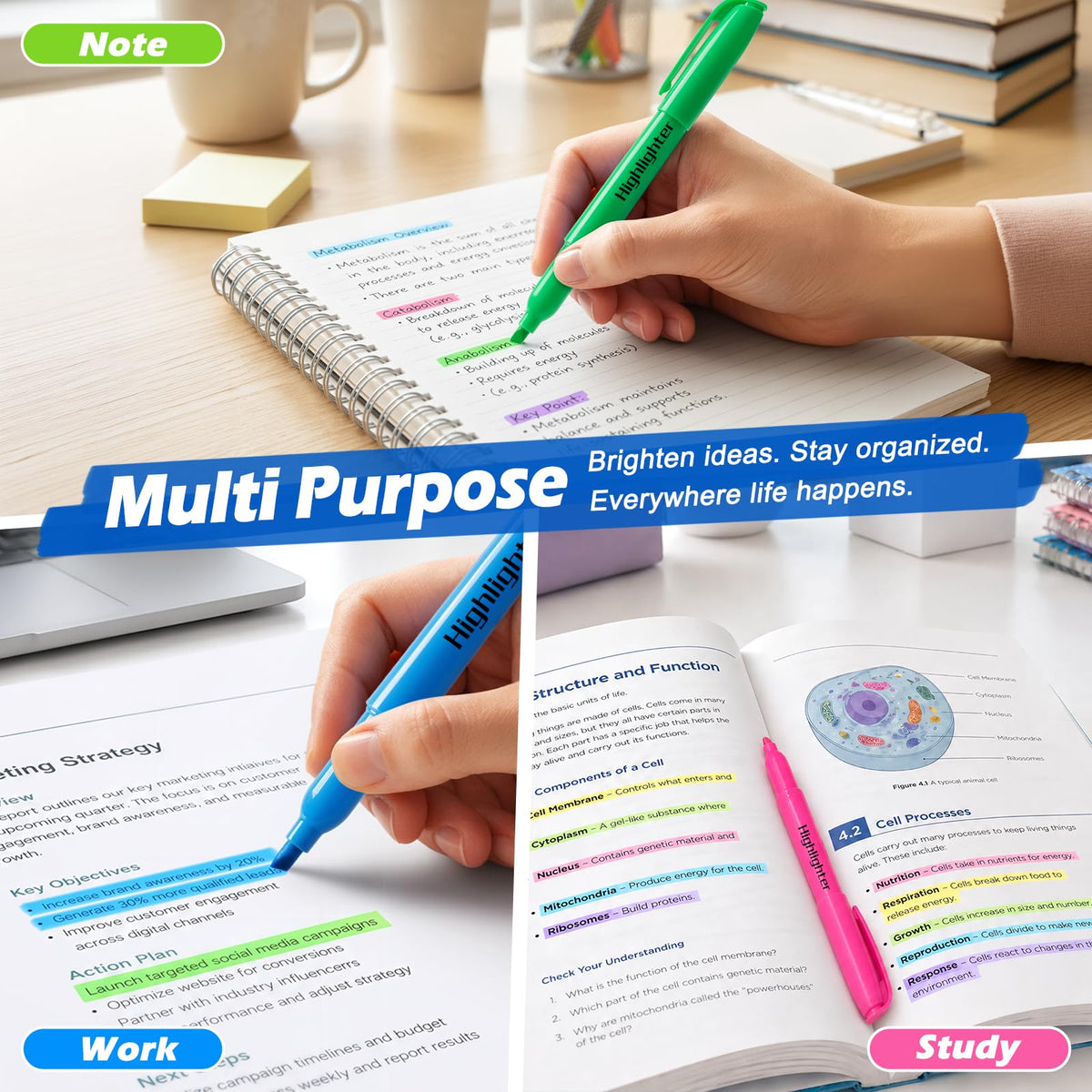 Jumlys 30 Pack Highlighters in 6 Assorted Colors, Bright With Soft Chisel Tips, No Bleed, Ideal for Office and School Supplies