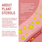 Piper Biosciences Plant Sterols Healthy Cholesterol Gummies, Daily Pouches