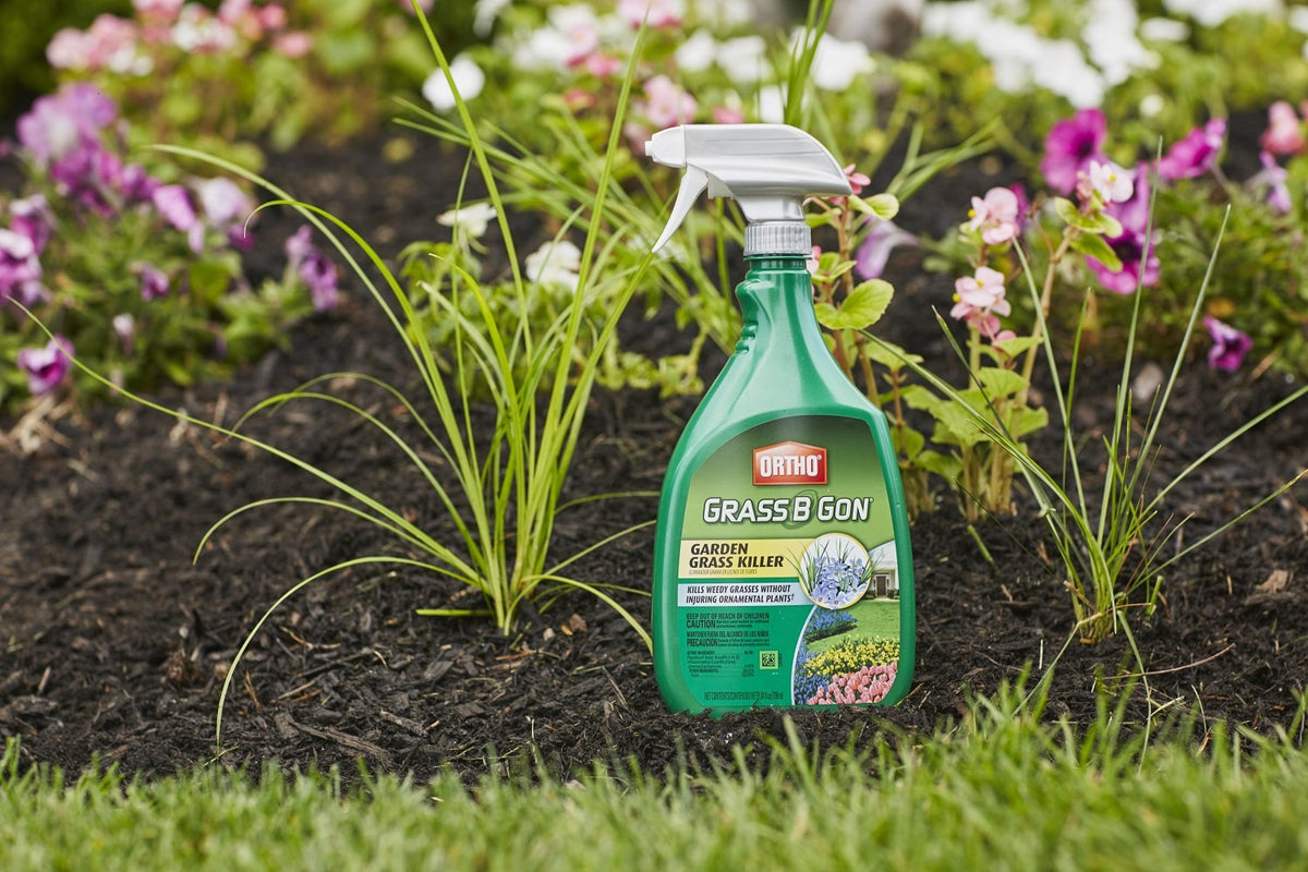 Ortho 0438580 Grass B Gon Garden Grass Killer Ready-To-Use, 24-Ounce