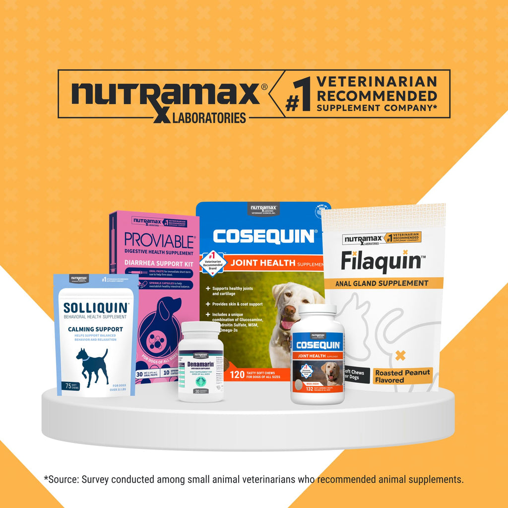 Nutramax Filaquin Anal Gland Supplement for Dogs, Soft Chews, 90ct