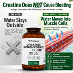 PRISTINE'S NSF Certified Creatine Monohydrate 3g Capsules, 75 Servings | Vegan, non-GMO and gluten-free. NSF Certified creatine capsules with 75 servings and no powder scoop, mixing, grit or flavor