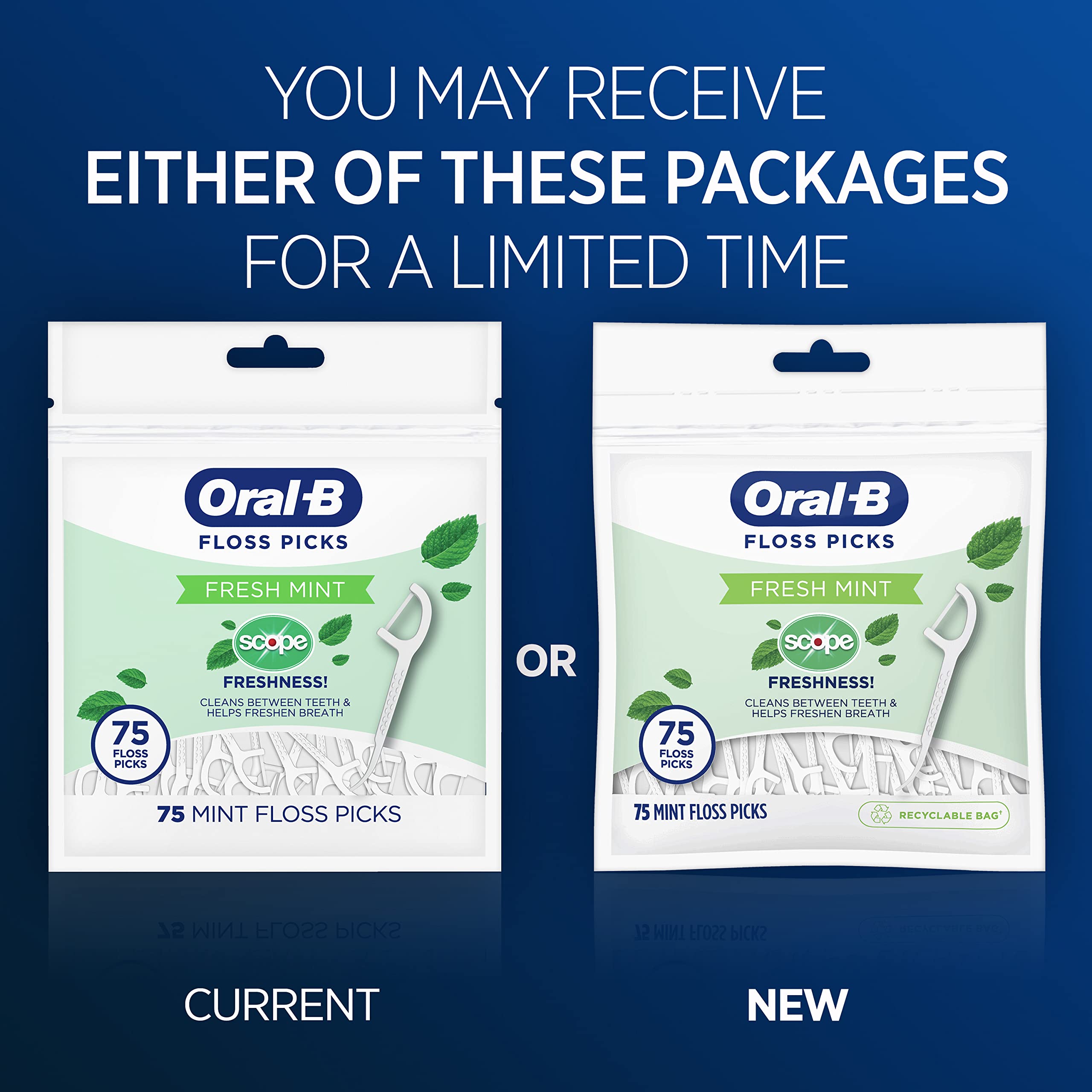 Buy now Oral-B Burst of Scope Dental Floss Picks, Fresh Mint, 75 Count Each, Pack of 6 (450 Count Total) at indiglob india