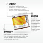 Kion Aminos Essential Amino Acids Powder, EAA & BCAA, Lean Muscle, Energy | All 9 aminos, caffeine-free, sugar-free, to curb cravings and support muscle with age, dieting, or GLP-1 use
