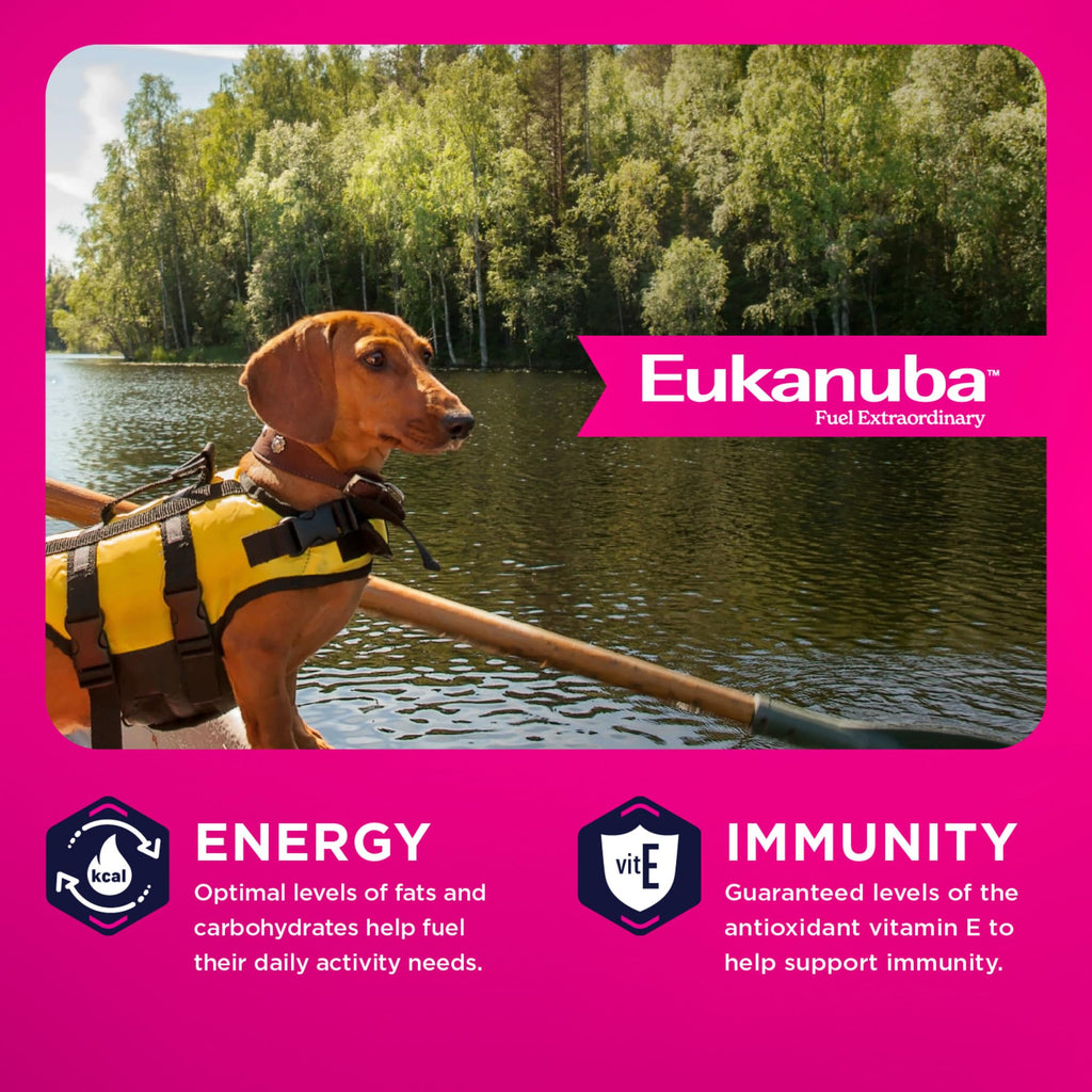 Eukanuba Adult Small Breed Dry Dog Food, 15 lb Bag.