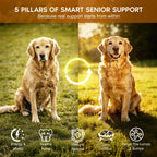Turkey Tail Mushroom for Dogs,Senior Dog Supplement for Lumps, Bumps & Lipoma,Soft Chews with Reishi, Maitake, Turmeric & Astragalus,Supports Immune Health,Natural Chicken Flavor, 120 Count