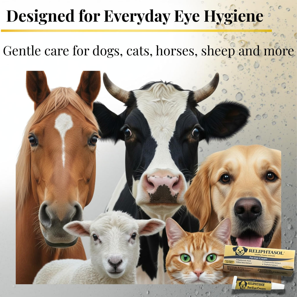 Pet Eye Cream – Vet-Formulated Dog Eye Infection Treatment, Pink Eye Relief, Conjunctivitis Relief, Dry Eyes & Red Eye, Tear Stain Remover for Dogs, Cats, Cattle, Sheep, Horses – 1 Tube