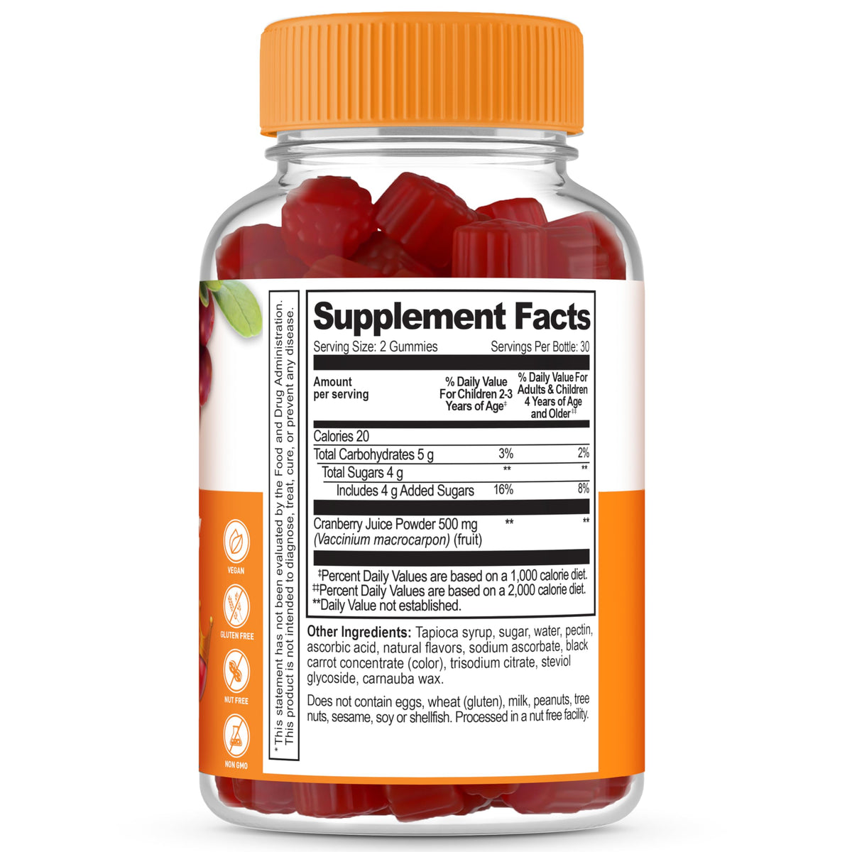 Lifeable Cranberry Gummies for Kids | Great Tasting Cranberry Supplement | for Urinary Tract Health, Bladder & Digestive Support | Vegan and Cranberries | 60 Count