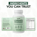 evertide Lymphatic Drainage Supplement - Lymphatic Support for Fluid Balance, Detox & Immune Health with Echinacea, Elderberry, Dandelion & Turmeric - 60 Capsules, 30 Day Supply