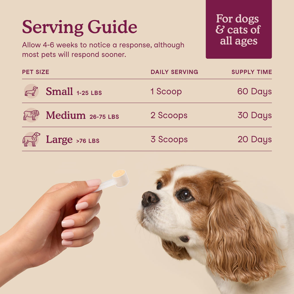 Fera Pets Bladder Support Cranberry Supplement for Dogs & Cats - 60 Scoops