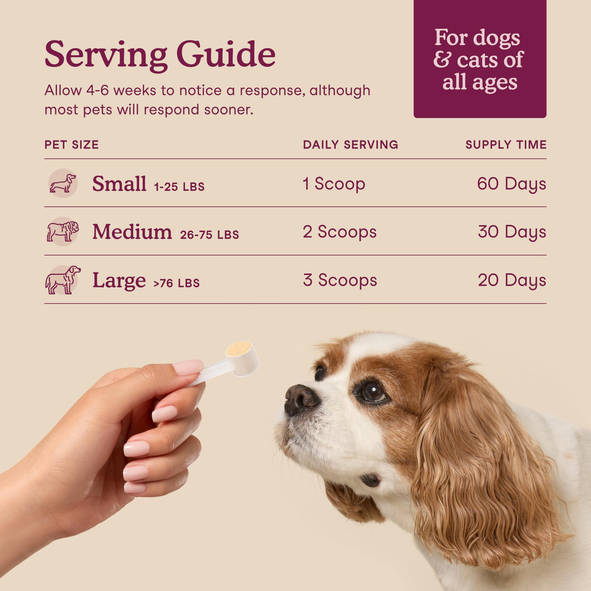 Fera Pets Bladder Support Cranberry Supplement for Dogs & Cats - 60 Scoops