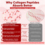 2Pack Sugar-Free Hydrolyzed Collagen Peptide Filled Gummies for Women & Men, with 1500mg Protein Type I,II,III,V,X, 5000mcg Biotin Vitamin C A E D3 B6 B12 for Immune Digestion Skin Hair Nails, Bone