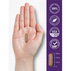 Carlyle Resveratrol Complex - 180 Capsules | Trans Resveratrol Supplement with Grape Seed Extract - Non GMO, Gluten Free