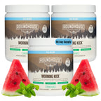 ROUNDHOUSE PROVISION Morning Kick Greens Powder, Watermelon Mint, 3 Pack | Greens Superfood Powder for Gut Health, Sugar Free, Caffeine Free, Ashwagandha, Collagen Peptides, Probiotics, Chuck Norris