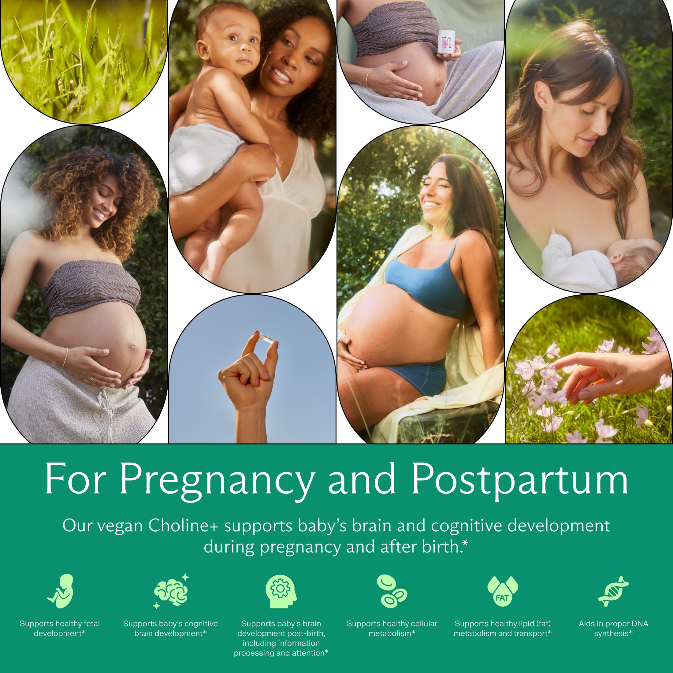Needed. Prenatal Choline+ for Cognitive Development, 30 Liquid Capsules | Choline Supplements For Pregnancy, Aids Baby Brain Development & Supports Healthy Pregnancy, Third Party Tested