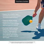 THORNE CoQ10, 100 mg Optimally Absorbed Ubiquinone Supplement, 60 Softgels | Supports Heart Health, Brain Function, Cellular Energy Production & Healthy Aging*, Gluten-Free, NSF Contents Certified