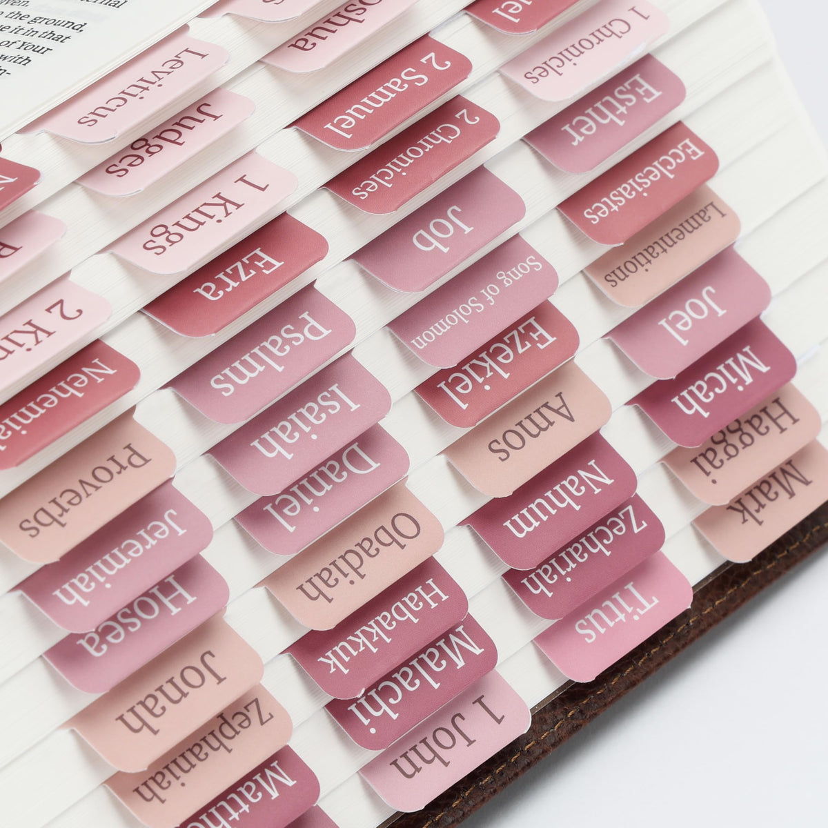 Mr. Pen- Bible Tabs, 90 pcs, Large Print Laminated Index Tabs for Women