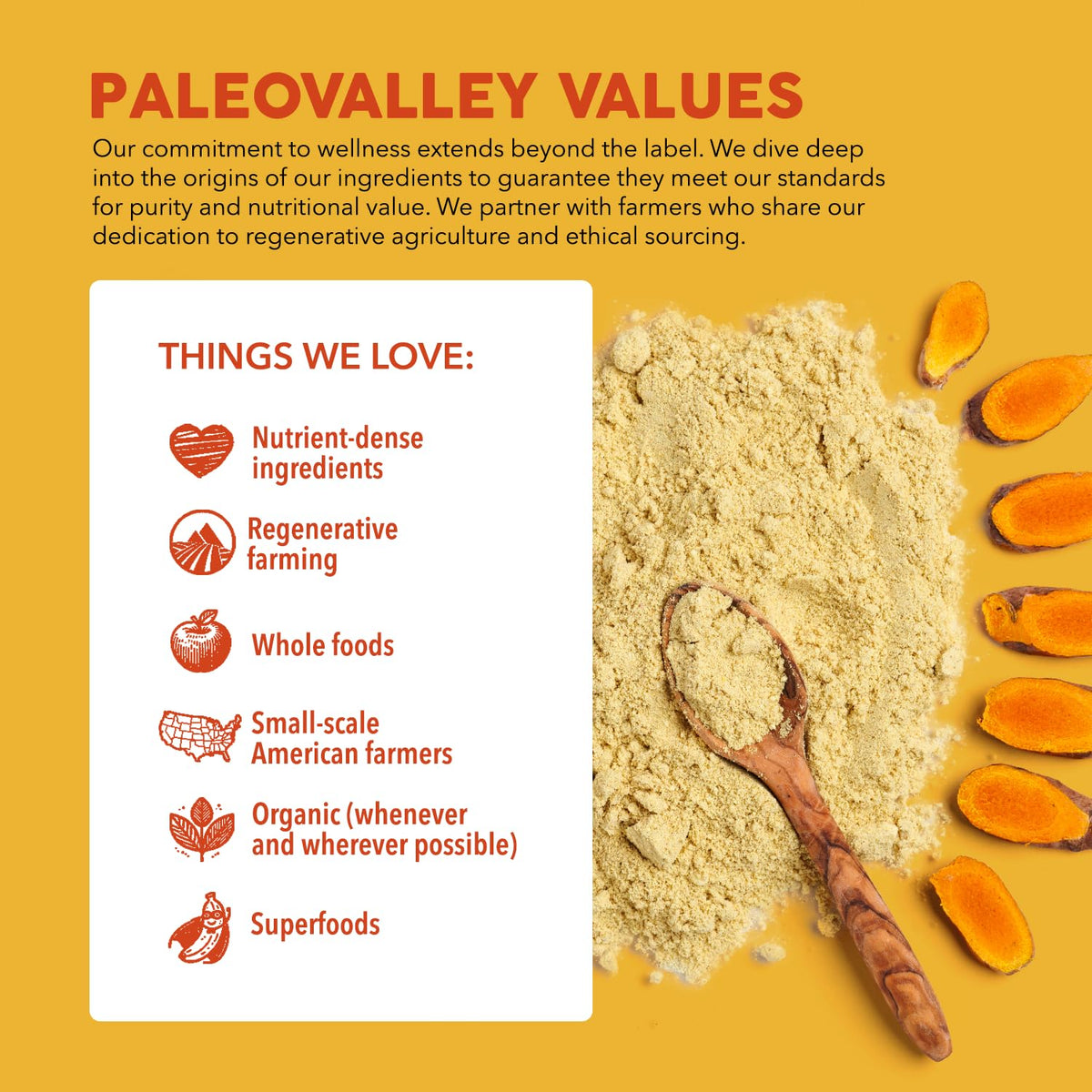 Paleovalley Superfood Golden Milk with Turmeric and Organic Mushrooms