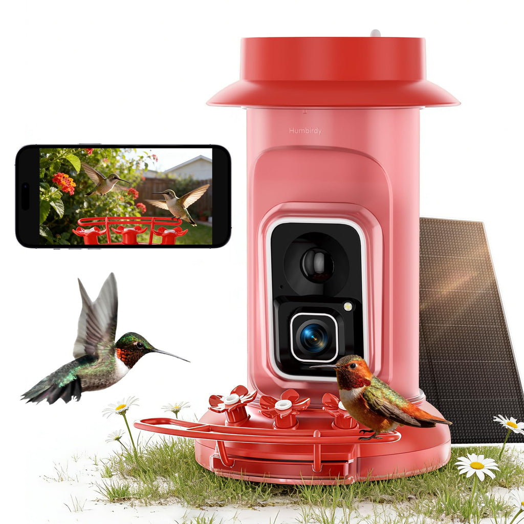 4K Hummingbird Feeder with Camera,No Subscription,Solar Powered