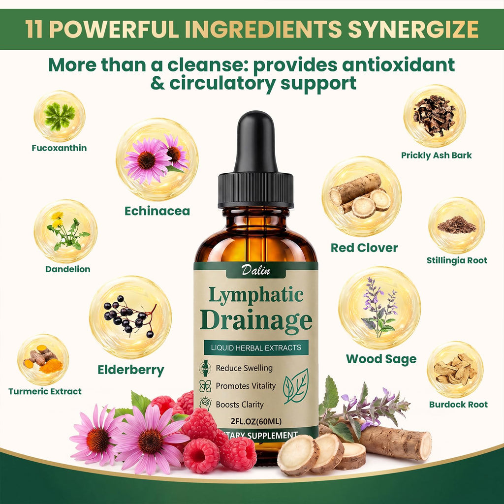 Dalin Liposomal Lymphatic Drainage Drops - 21 in 1 Organic Lymphatic Drainage Supplement with Burdock Root, Echinacea, Elderberry, Calendula - Supports Lymphatic Health - Liquid Form - 1pc - 2 fl oz