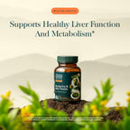 Gaia Herbs Berberine & Milk Thistle, 60 Capsules