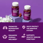 Sambucus Elderberry Gummies with Vitamin C & Zinc, Berry, 30 Servings | Vegan, Non-GMO, Gluten Free Elderberry Gummies, 100mg Extract Per Serving for Immune Support and Wellness Defense, 60 Count