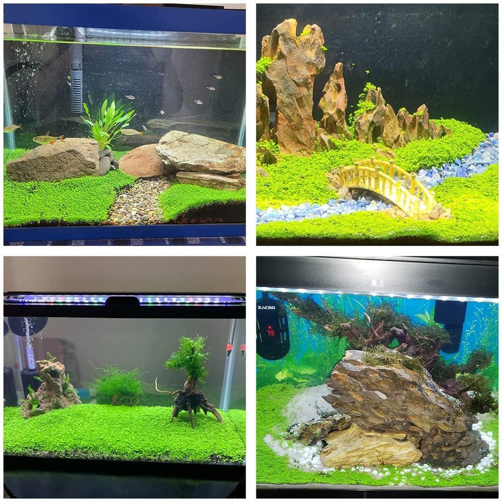 Buy now Aquarium Mini L.e.a.f 2 Bags at indiglob india