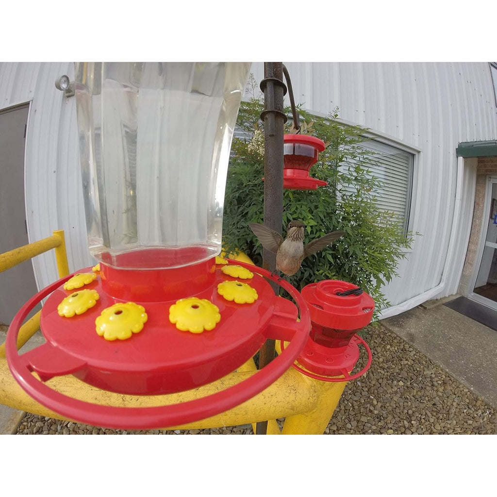 Buy now First Nature 3090 32-ounce Hummingbird Flower Feeder at indiglob india