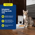 Buy now PetSafe Analog 2 Meal Programmable Pet Feeder, Automatic Dog and Cat Feeder - Dry or Semi-Moist Pet Food Dispenser, Slow Feed Portion Control (3 Cup/16 Ounce Total Capacity), Tamper-Resistant Design at indiglob india