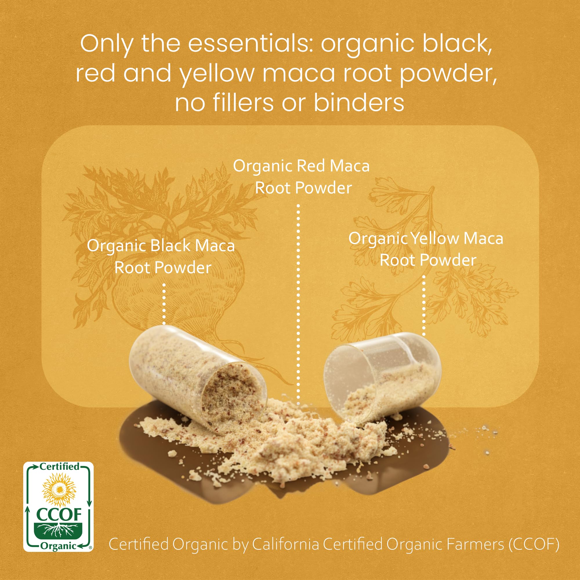NaturaLife Labs Organic Maca Root – Black, Red & Yellow – 1900 mg per Serving – 150 Capsules – Gelatinized Peruvian Maca – Non-GMO, Gluten-Free, Vegan (2 Pack)
