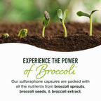 50MG Sulforaphane Supplement from Broccoli Sprouts, Doctor-Formulated | NRF2 Activation, Cellular Health & Immune Support, Glucoraphanin & Myrosinase, Third-Party Tested, 60 Broccoli Seed Beadlets