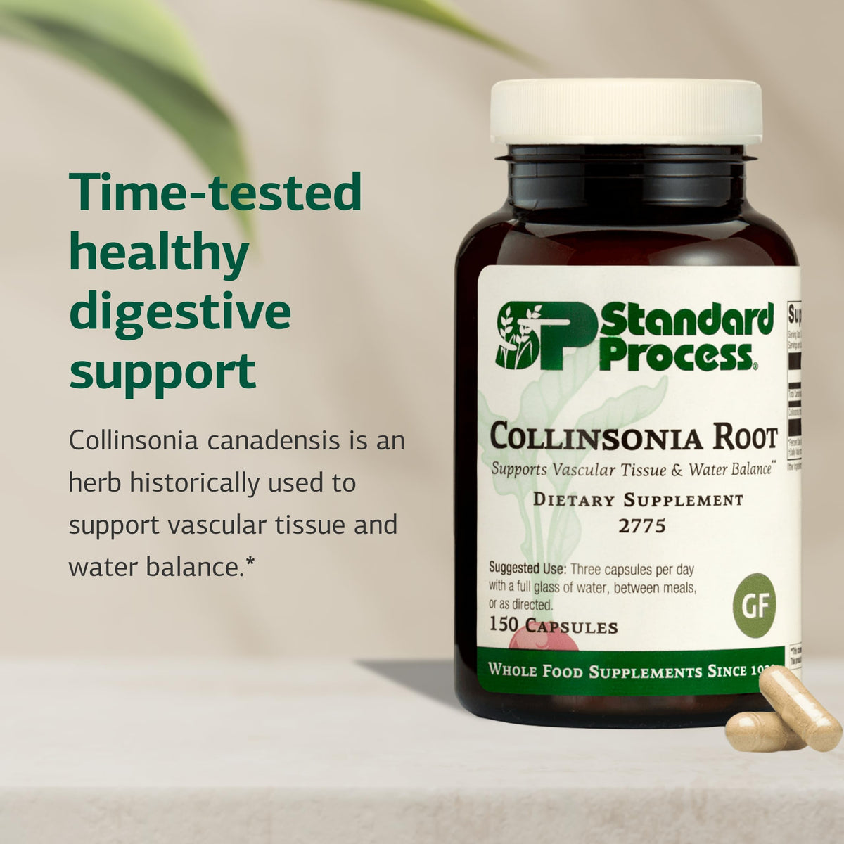 Standard Process Collinsonia Root, Bladder & Kidney Support, 150 Capsules