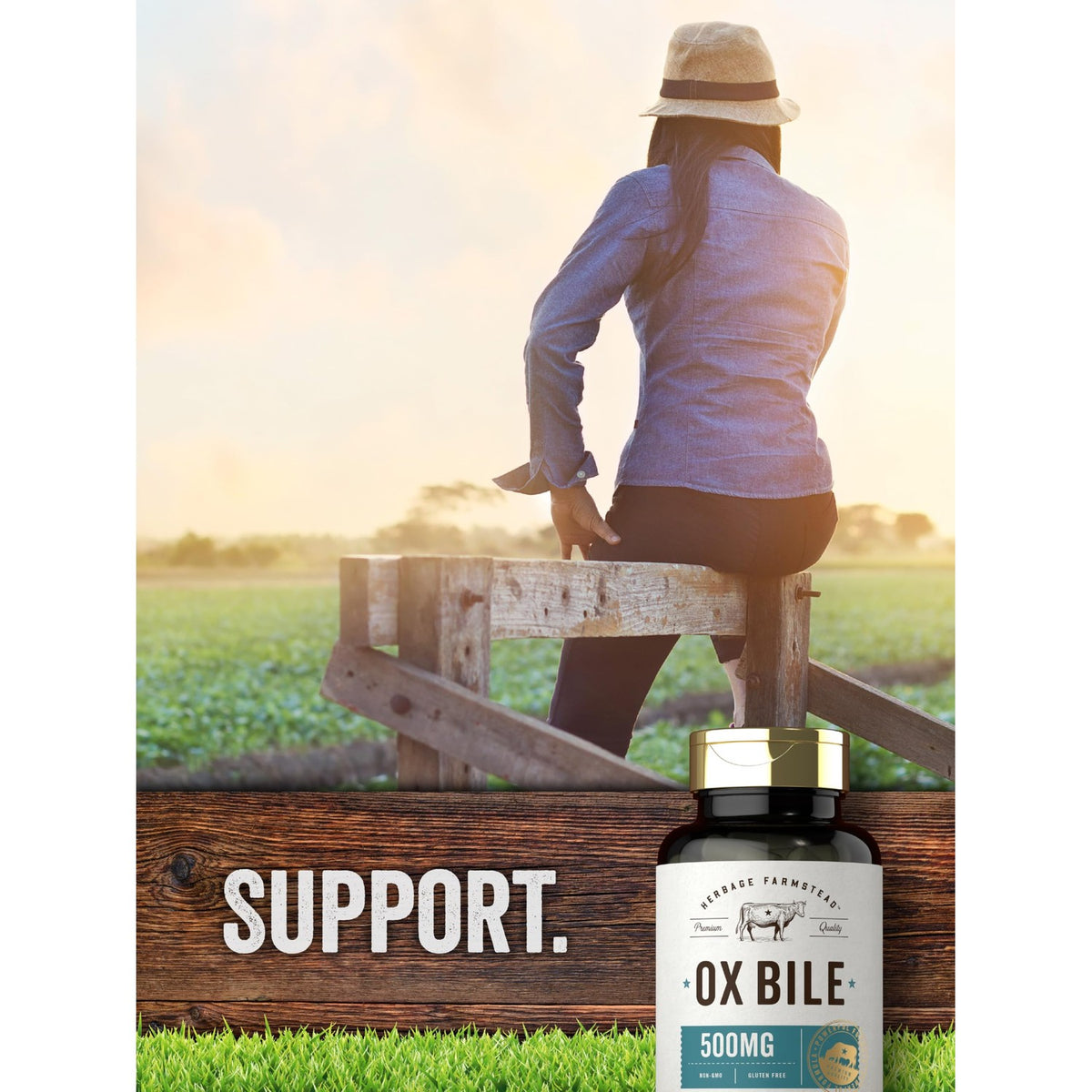 Carlyle Ox Bile Supplement 500 mg | 60 Capsules | Digestive Enzymes