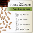 Herbal Roots Organic Ginger Capsules - Digestive Support - USDA Certified Organic - 60 Vegan Capsules