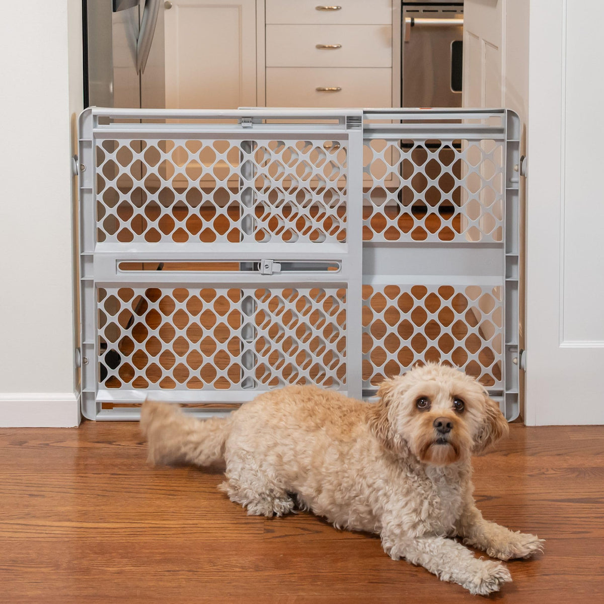 MYPET Universal Pet Gate: 26” - 42” Wide Dog Gate for Doorways with Pressure Fit or Swinging Door Hardware Mounting Types Included: 26" Tall; Gray