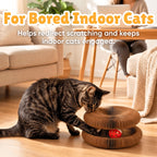 KITTY KURLZ Interactive Cat Toy & Cardboard Cat Scratcher