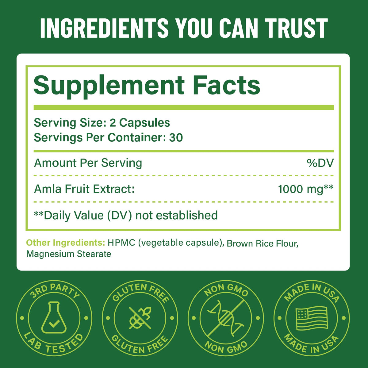 Organic Amla Capsules 1000mg – Indian Gooseberry Supplement for Antioxidant Support, Digestive Health & Natural Energy – Organic Amla Fruit Powder, 60 Capsules