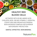 NaturesPlus Hema-Plex Iron - 60 Fast-Acting Capsules - 85 mg Chelated Iron + Vitamin C & Bioflavonoids for Healthy Red Blood Cells - Vegan, Gluten Free - 30 Servings