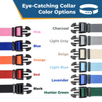 GoTags Personalized Dog Collar, Custom Embroidered with Pet Name and Number